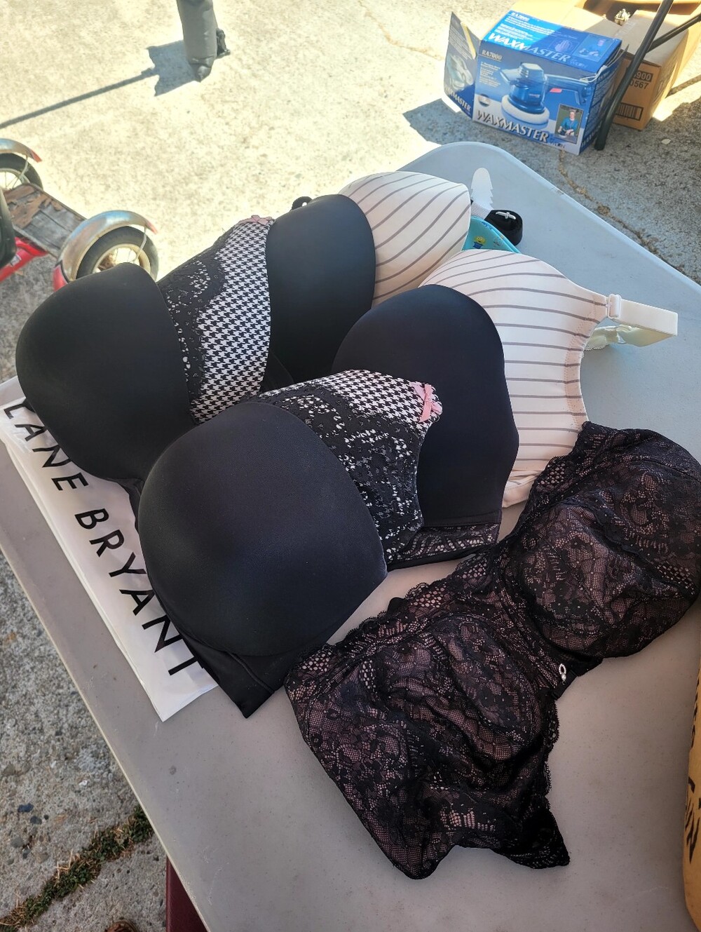 Lane Bryant Cacique Bra Lot